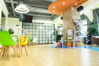 上德大象全國有多少家店？揭秘教育藝術領域的創業藍海與輝煌版圖